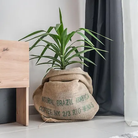 & Natural Light 2bdr Private Parking Lägenhet Tirana